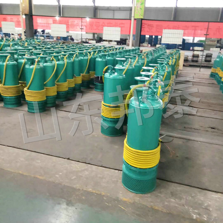 BQS90KW礦用隔爆污水?dāng)嚢璞?jpg