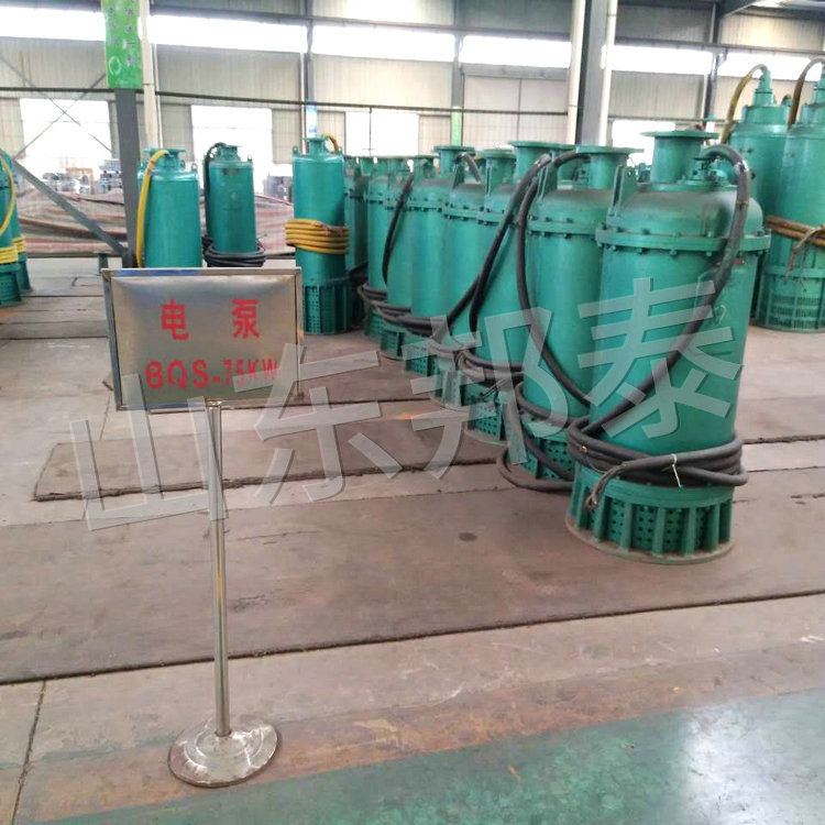 BQS75KW內(nèi)裝式煤礦排污排沙電泵.jpg
